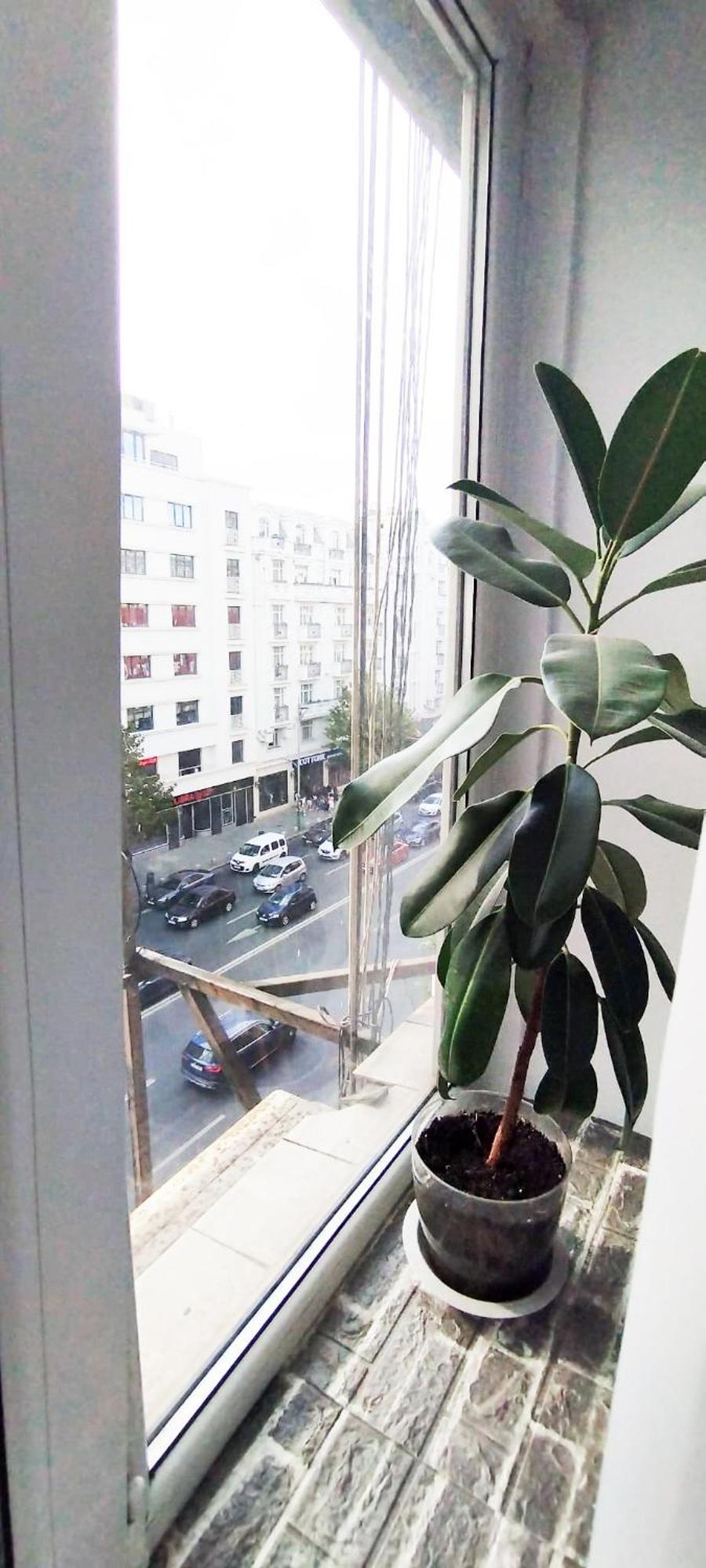 Cozy Studio Magheru Бухарест Экстерьер фото